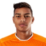 No Player Photo