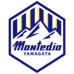 Man City Logo
