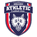 Man City Logo
