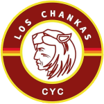 Man City Logo