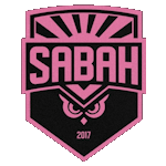 Man City Logo