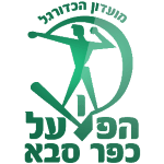 Man City Logo