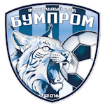 Man City Logo