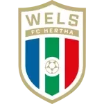 Man City Logo