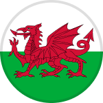 Man City Logo