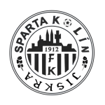 Man City Logo