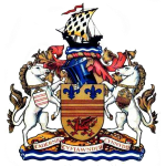 Man City Logo