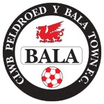 Man City Logo