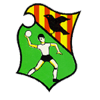 Man City Logo