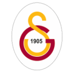 Man City Logo