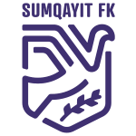Man City Logo