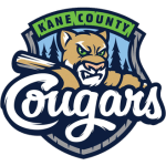 Man City Logo