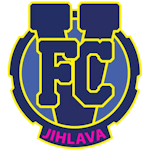 Man City Logo