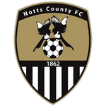 Man City Logo