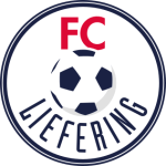 Man City Logo