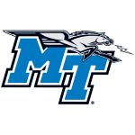 Man City Logo